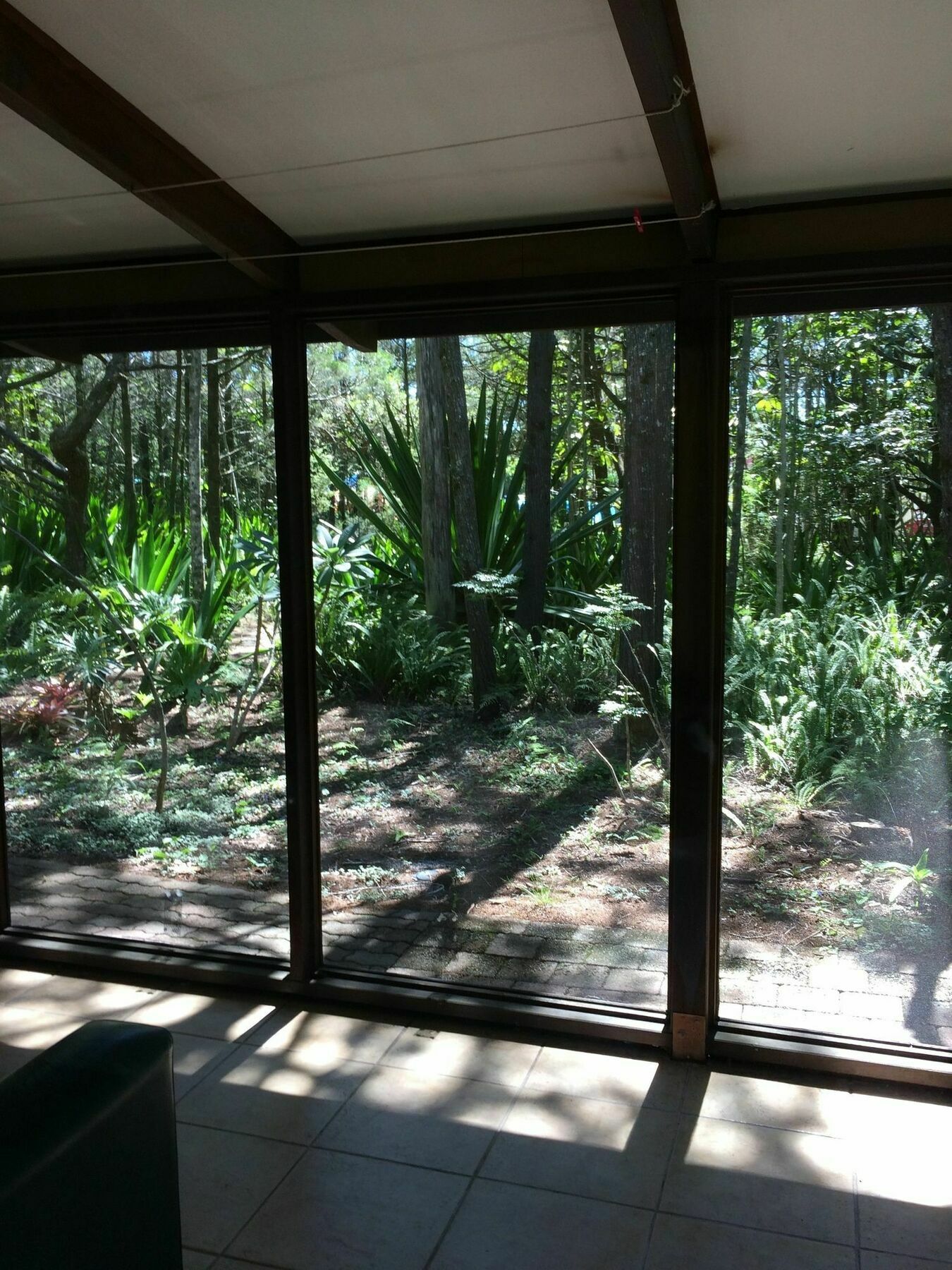 Byron Bay Rainforest Resort Exterior foto