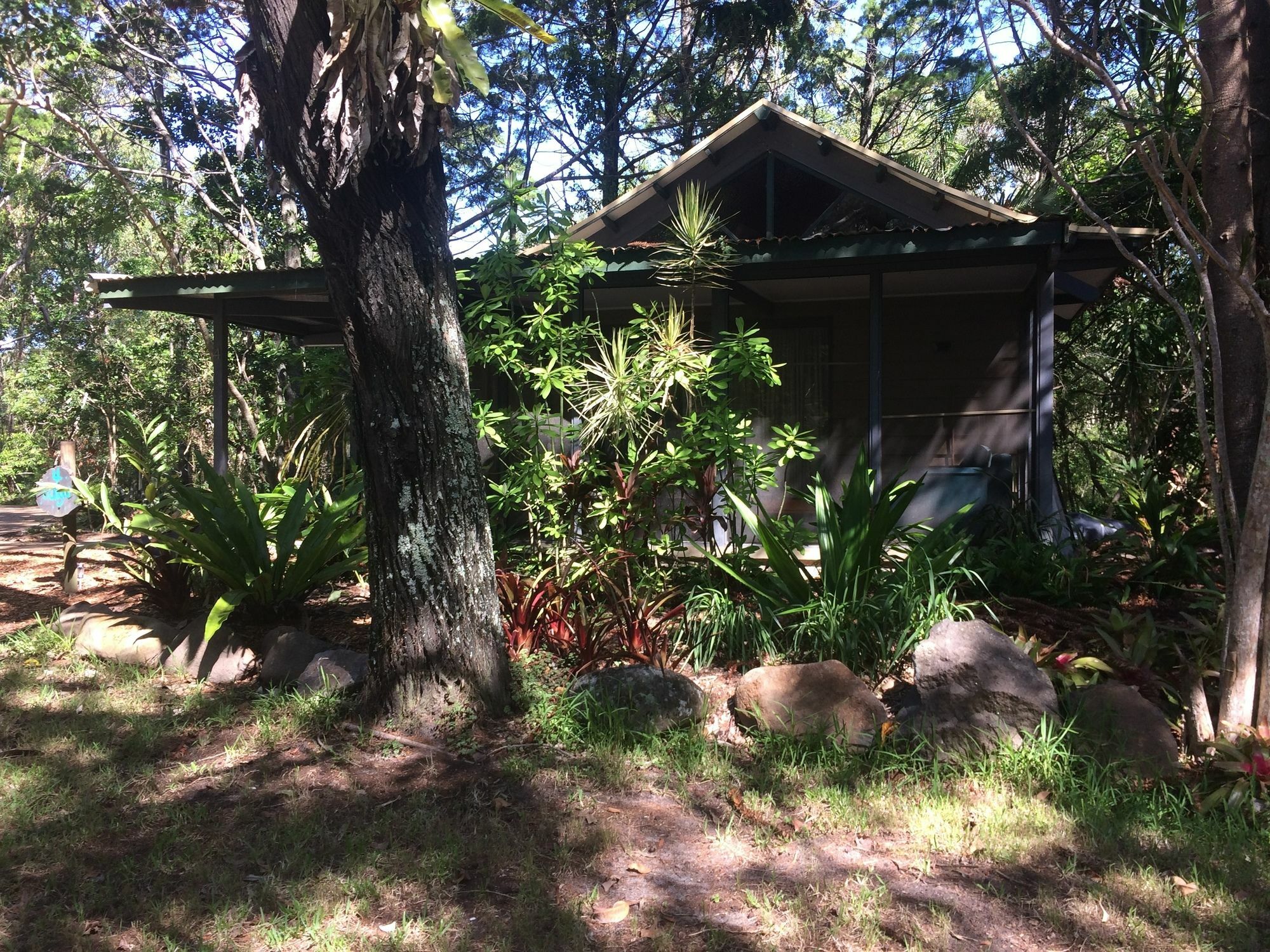 Byron Bay Rainforest Resort Exterior foto
